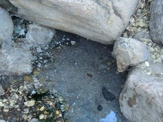 Hot Spring - Lake Manyara National Park